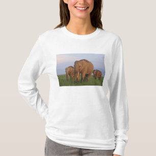 Indische Elefanten im Grassland T-Shirt