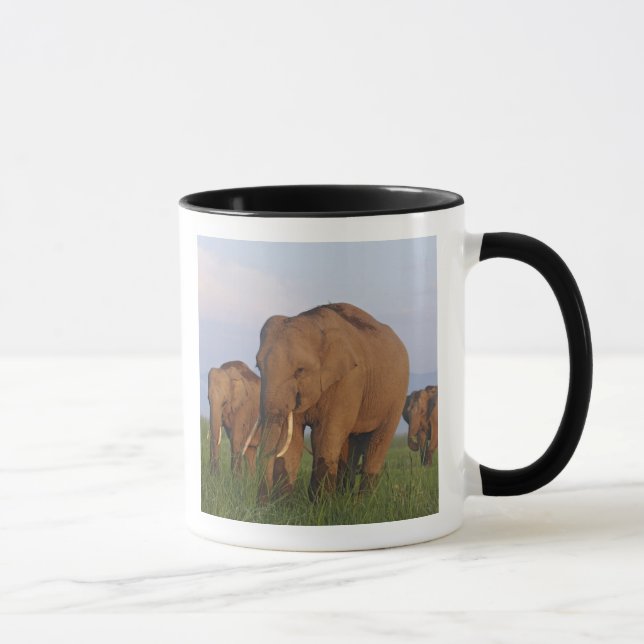 Indische Elefanten im Grassland Tasse (Rechts)
