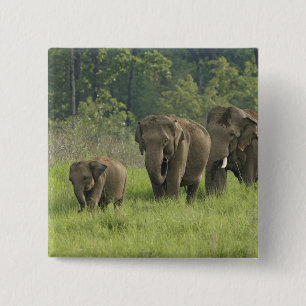 Indische Elefantenfamilie Button