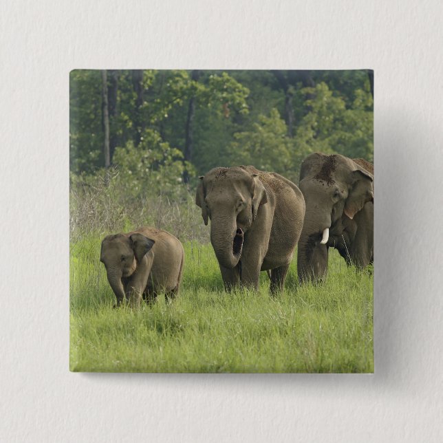 indische Elefantenfamilie Button (Vorderseite)