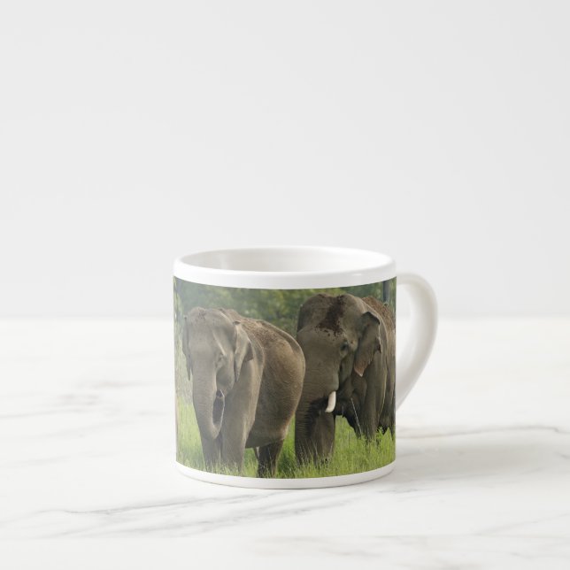 indische Elefantenfamilie Espressotasse (Vorderseite Rechts)