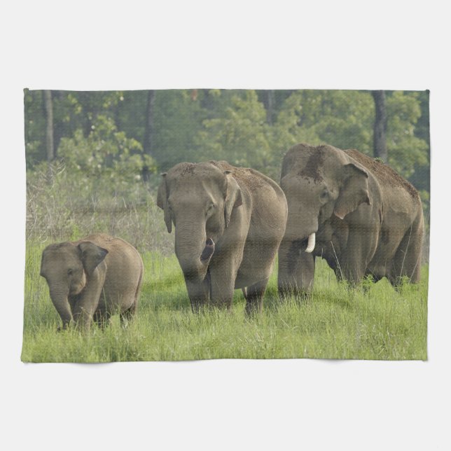 indische Elefantenfamilie Handtuch (Horizontal)