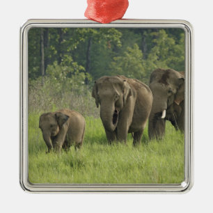 indische Elefantenfamilie Ornament Aus Metall