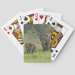 Indische Elefantenfamilie Spielkarten
