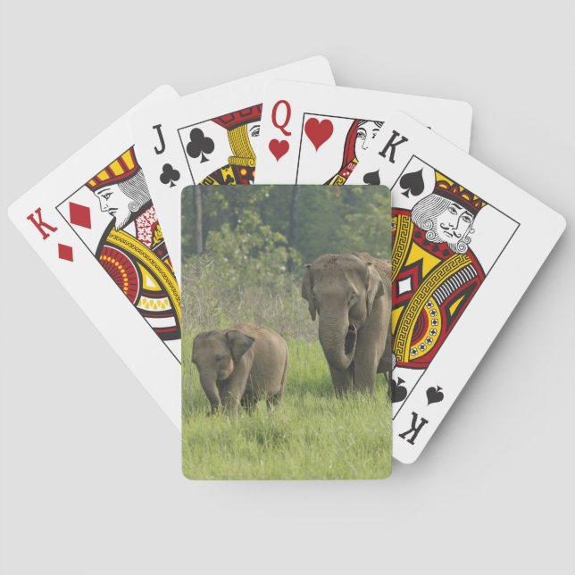 indische Elefantenfamilie Spielkarten (Rückseite)