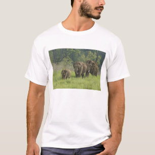 indische Elefantenfamilie T-Shirt