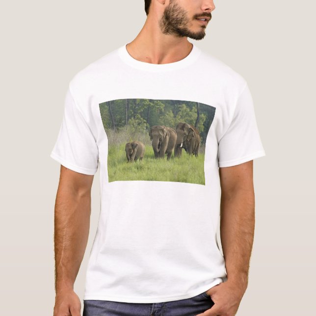 indische Elefantenfamilie T-Shirt (Vorderseite)