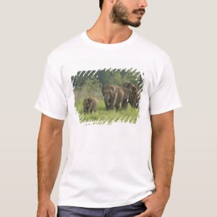 Indische Elefantenfamilie T-Shirt