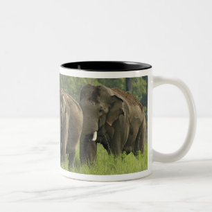 Indische Elefantenfamilie Zweifarbige Tasse