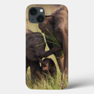Indische Familie des asiatischen Elefanten in der Case-Mate iPhone Hülle