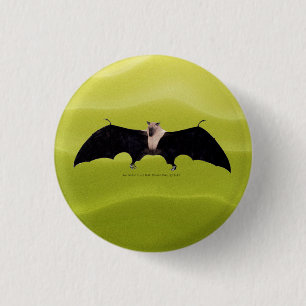 Indische Flughund Button