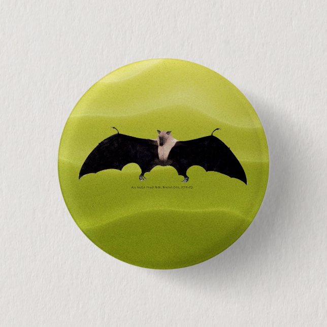 Indische Flughund Button (Vorderseite)