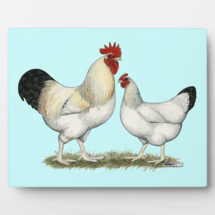 Indische Hühner Fotoplatte