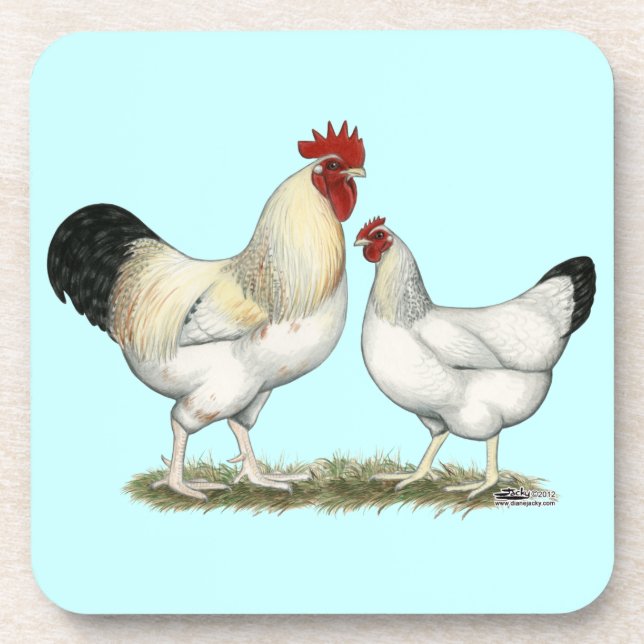 Indische Hühner Untersetzer (Vorderseite)