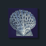 Indische Muscheln VIII Leinwanddruck<br><div class="desc">Meeresleben</div>