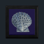 Indische Muscheln VIII Schmuckschachtel<br><div class="desc">Meeresleben</div>