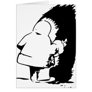 Indische oder Eskimooptische Täuschung