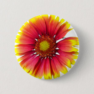 Indische umfassende Blume Button