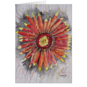 Indische umfassende Wildblume