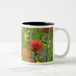 Indische Wildblumen aus Malerpinsel und Kekswurzel Zweifarbige Tasse