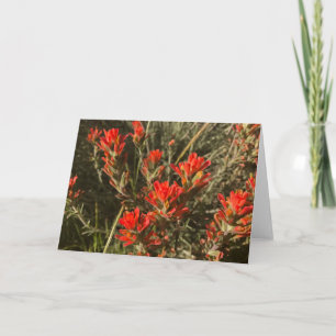 Indische Wildblumen mit farbigen Pinseln (rot) Karte
