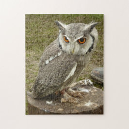 Indischer Adler Puzzle