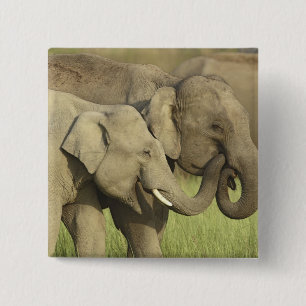 Indischer Asiatischer Elefant Button