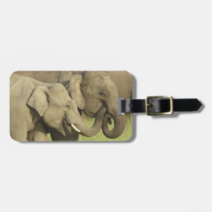 Indischer Asiatischer Elefant Gepäckanhänger