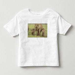 Indischer Asiatischer Elefant & Jungtiere Kleinkind T-shirt