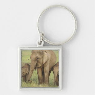 Indischer Asiatischer Elefant & Jungtiere Schlüsselanhänger