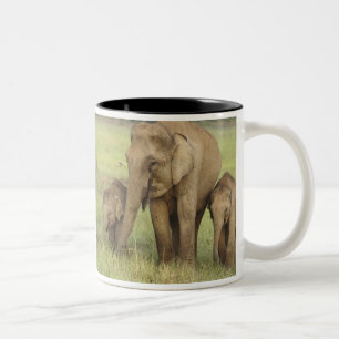 Indischer Asiatischer Elefant & Jungtiere Zweifarbige Tasse