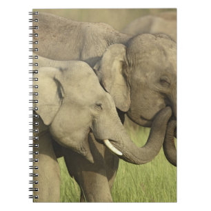 Indischer Asiatischer Elefant Notizblock