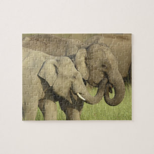Indischer Asiatischer Elefant Puzzle