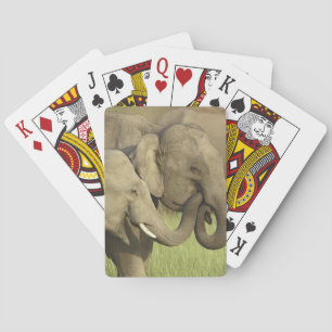 Indischer Asiatischer Elefant Spielkarten