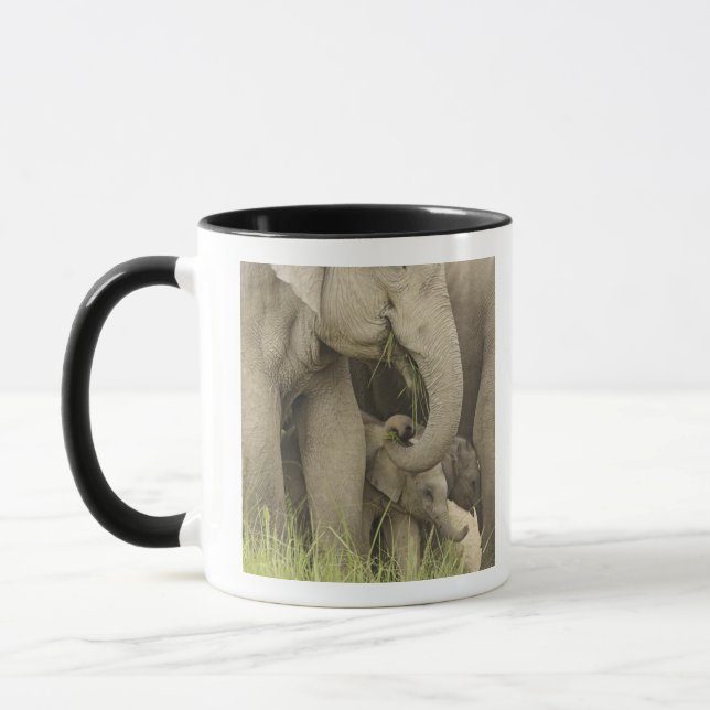 Indischer/asiatischer Elefant und Junge einer, Tasse (Links)