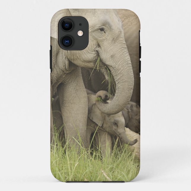 Indischer/asiatischer Elefant und junger Mann,Corb Case-Mate iPhone Hülle (Rückseite)