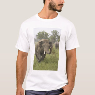 Indischer Asiatischer Elefantengruß T-Shirt