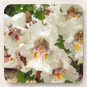 Indischer Beanenbaum Blume harter Untersetzer