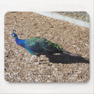 Indischer Blau-Pfau-Mauspad Mousepad