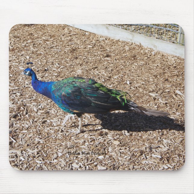 Indischer Blau-Pfau-Mauspad Mousepad (Vorne)