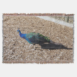 Indischer Blau-Pfau-Wurfdecke Decke