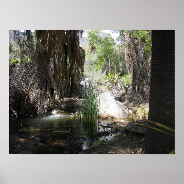 Indischer Canyon (2) Poster (Vorne)