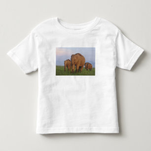 Indischer Elefant im Grasland Kleinkind T-shirt