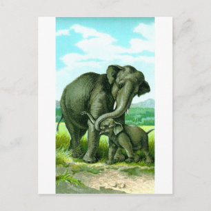 Indischer Elefant Postkarte