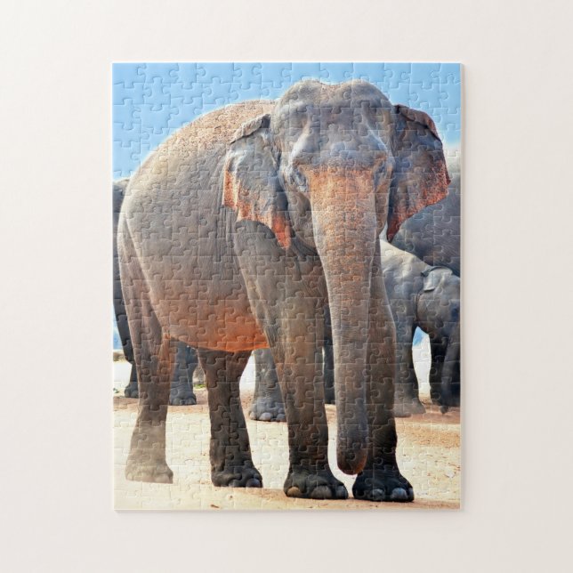 Indischer Elefant Sri Lanka. Puzzle (Vertikal)