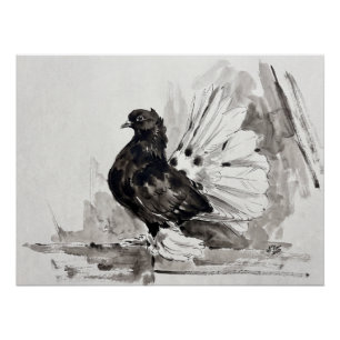 Indischer Fantailschwanz-Taube Eyeliner Henne Poster