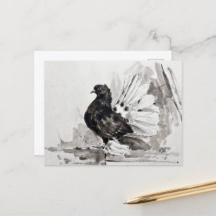 Indischer Fantailschwanz-Taube Eyeliner Henne Postkarte
