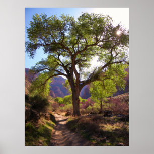 Indischer Garten Poster