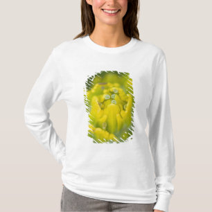 Indischer Goldener Pinsel Castilleja 2 T-Shirt