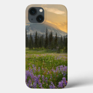 Indischer Henry-Jagdplatz bei Sonnenaufgang Case-Mate iPhone Hülle